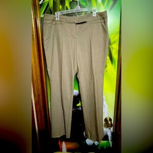 Dress pants